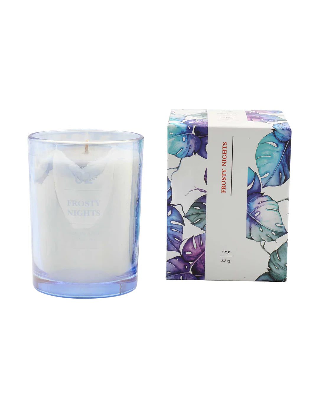 Vela Frosty Night