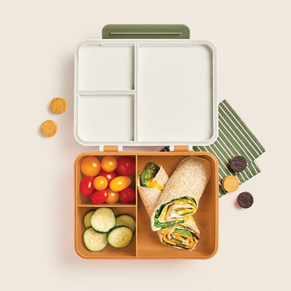 Loncheras Bento Box Niños