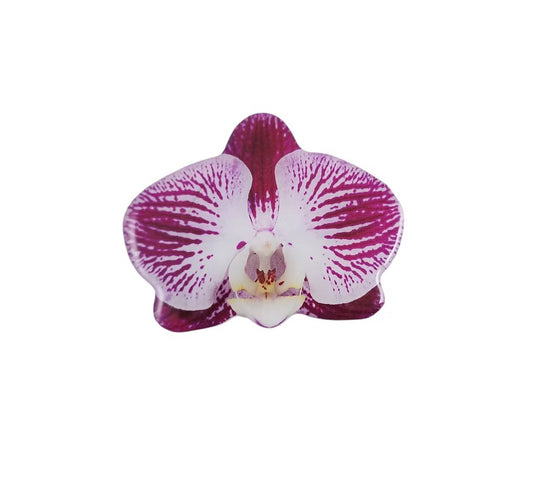 Pop Socket Orquídea