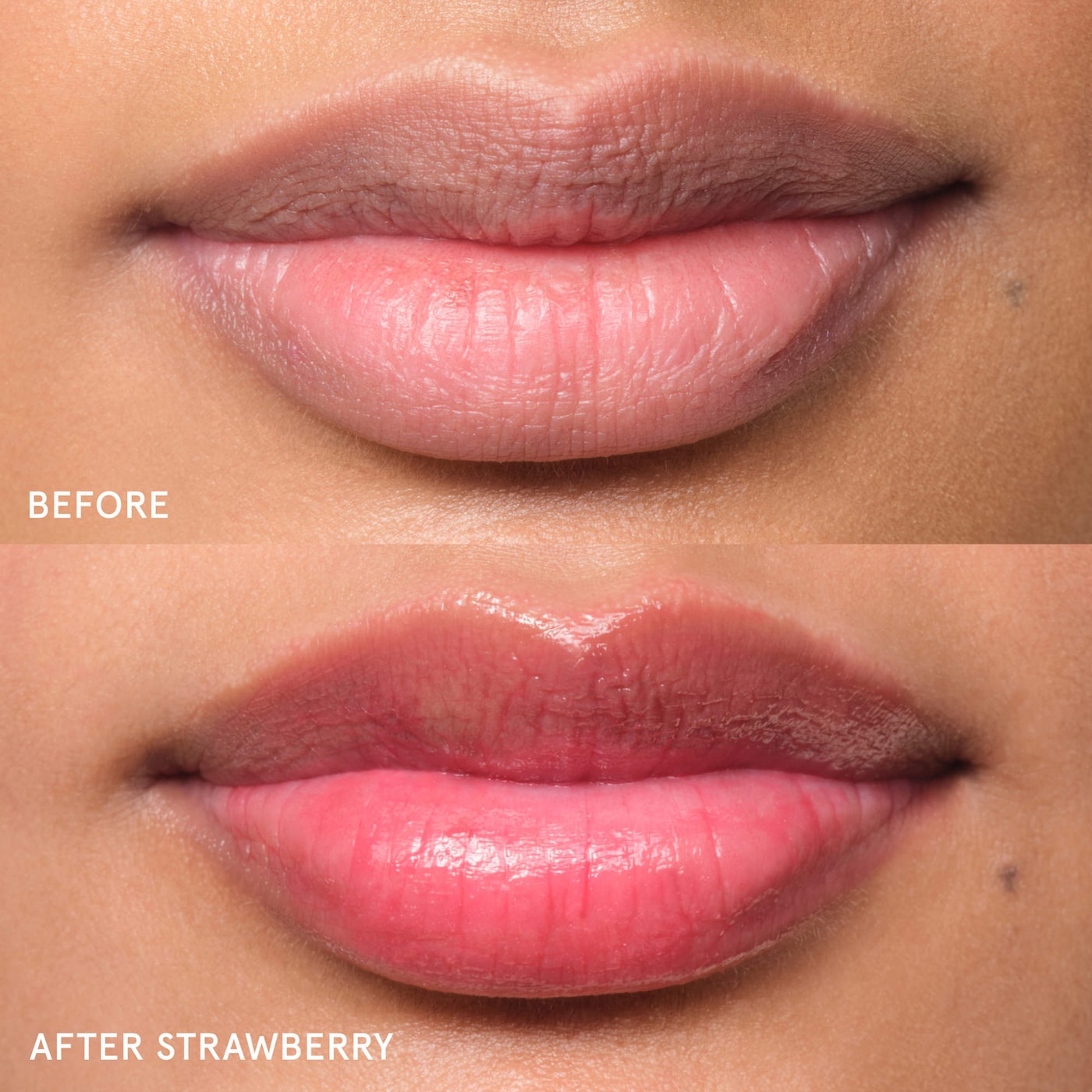 Balm Dotcom (Bálsamo Labial)